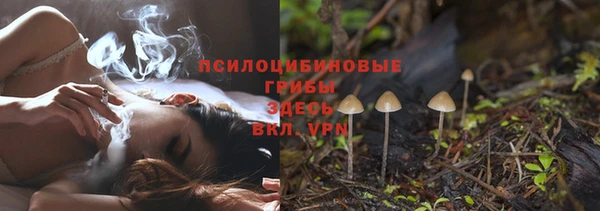 Альфа ПВП Волоколамск