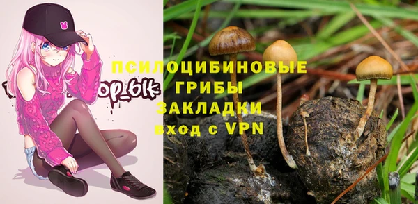 дурь Верея