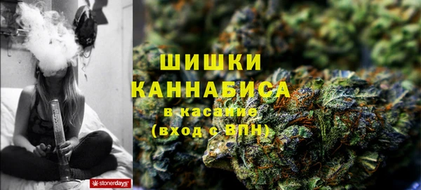 стаф Верхний Тагил