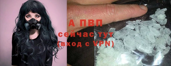 дурь Верея