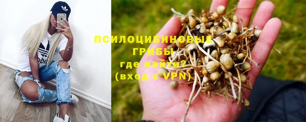 стаф Верхний Тагил