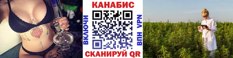 Шишки марихуана конопля  hydra онион  Гаврилов-Ям 